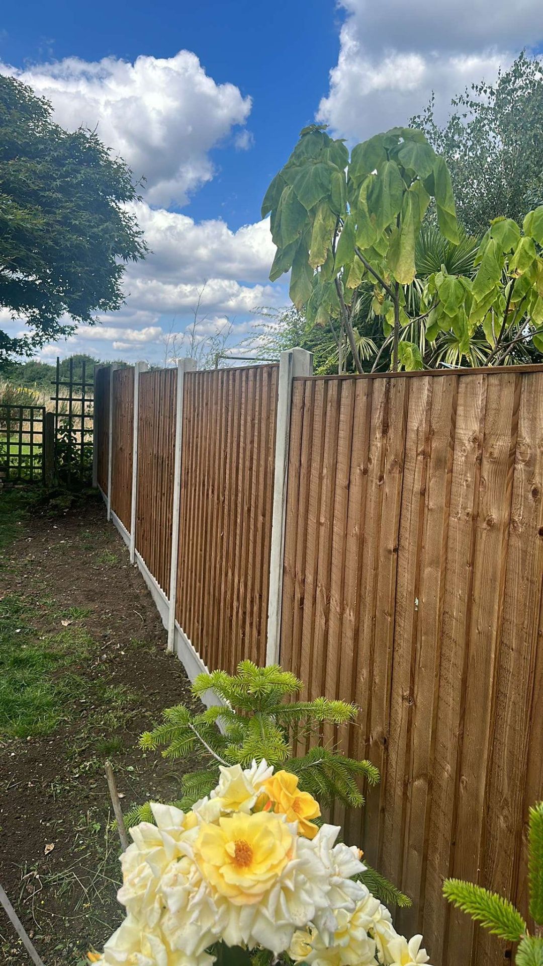 New closeboard timber fencing with concrete posts under blue sky