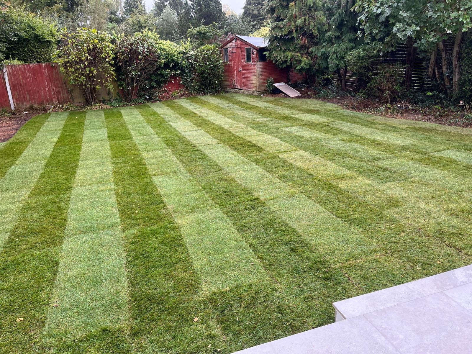 Wide finished lawn with crisp mowing stripes and mature hedging